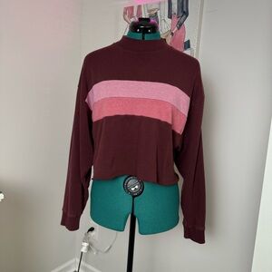 American Eagle Outfitters Maroon and Pink Crop Top